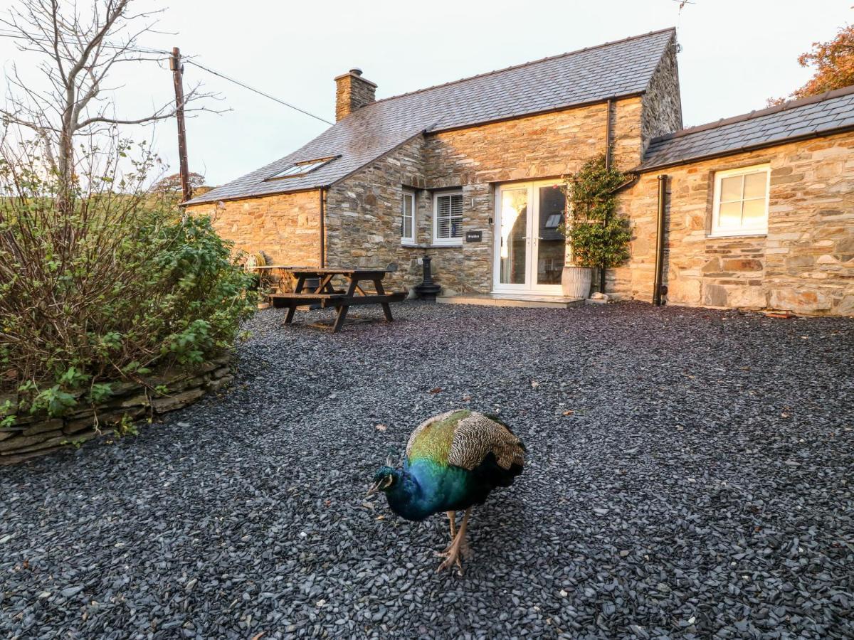 Garth Morthin The Stables Villa Tremadog Luaran gambar